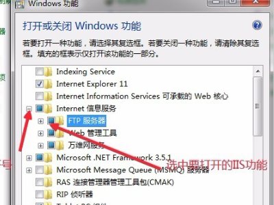 怎样启用Internet信息服务?