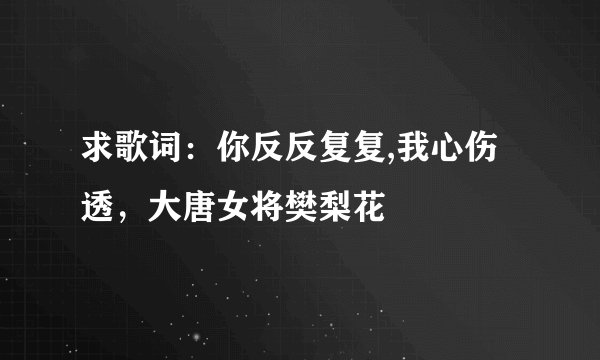 求歌词：你反反复复,我心伤透，大唐女将樊梨花