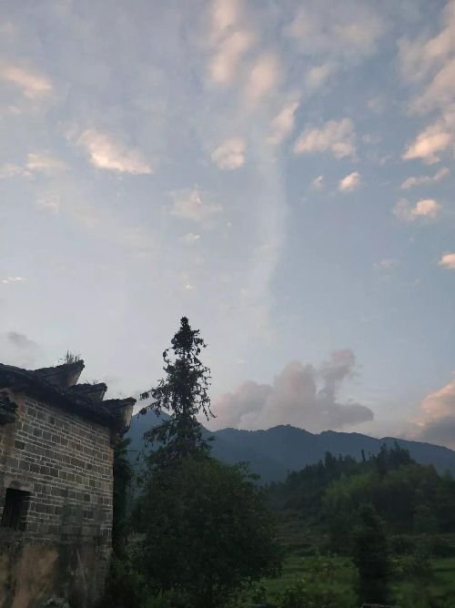 田园女是指什么意思 有这样的几个特点