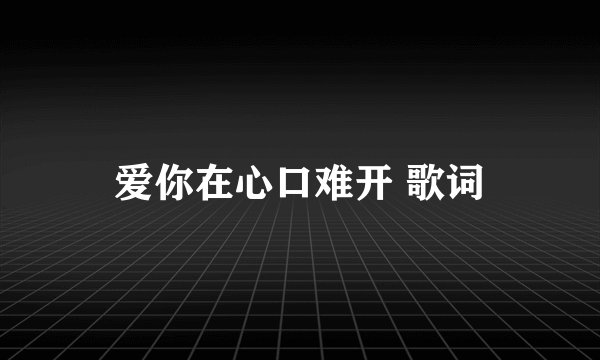 爱你在心口难开 歌词
