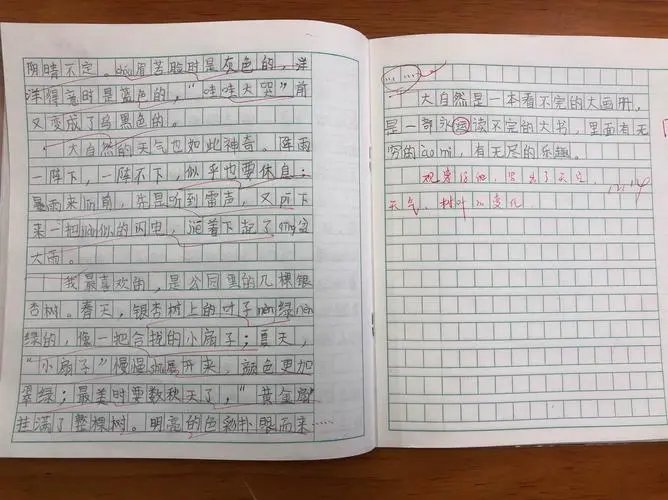 读不完的大书仿写小练笔