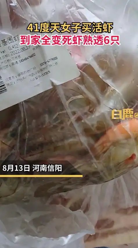 天气太热了！女子高温天买活虾到家熟透6只，当地气温还会热多久？