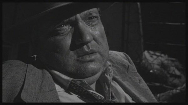 狂野生死恋的主创人员