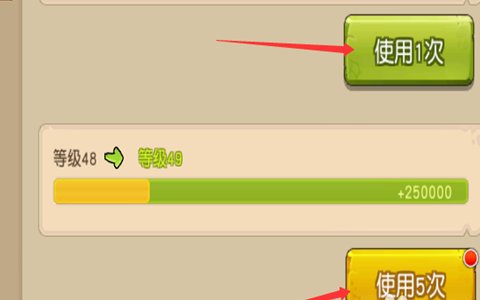 勇士的信仰宠物怎么升级