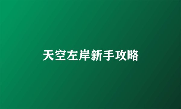 天空左岸新手攻略