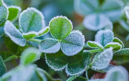 2022年霜降是几月几日几点几分