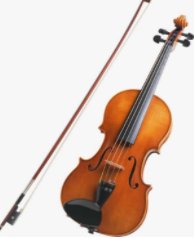 你知道被称为“乐器之王”和“乐器王后”的是哪两种乐器吗？