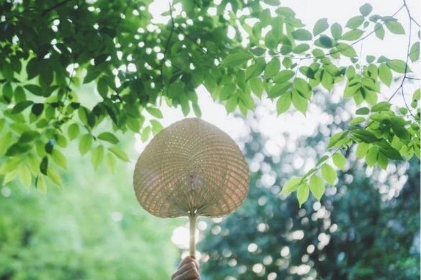 山童隔竹敲茶臼上一句