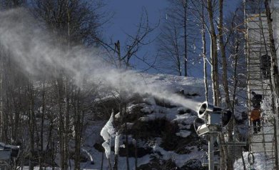 为什么亚热带常绿硬叶林