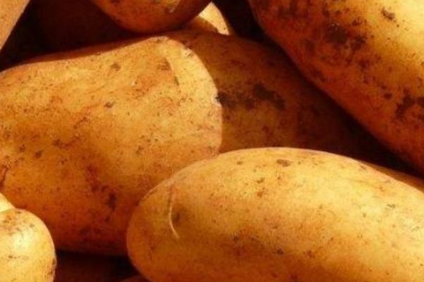 土豆发电的原理