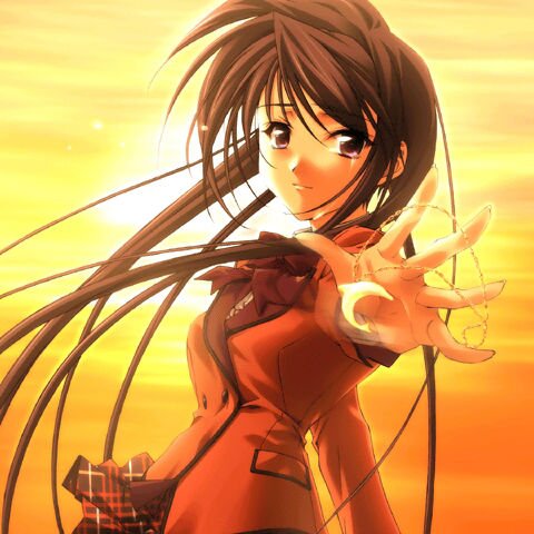 寺本明日香的个人简介