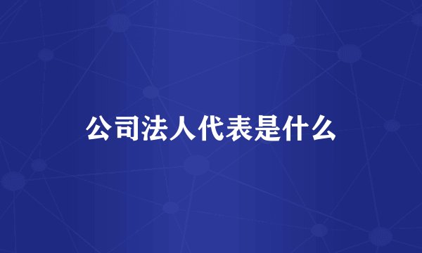 公司法人代表是什么