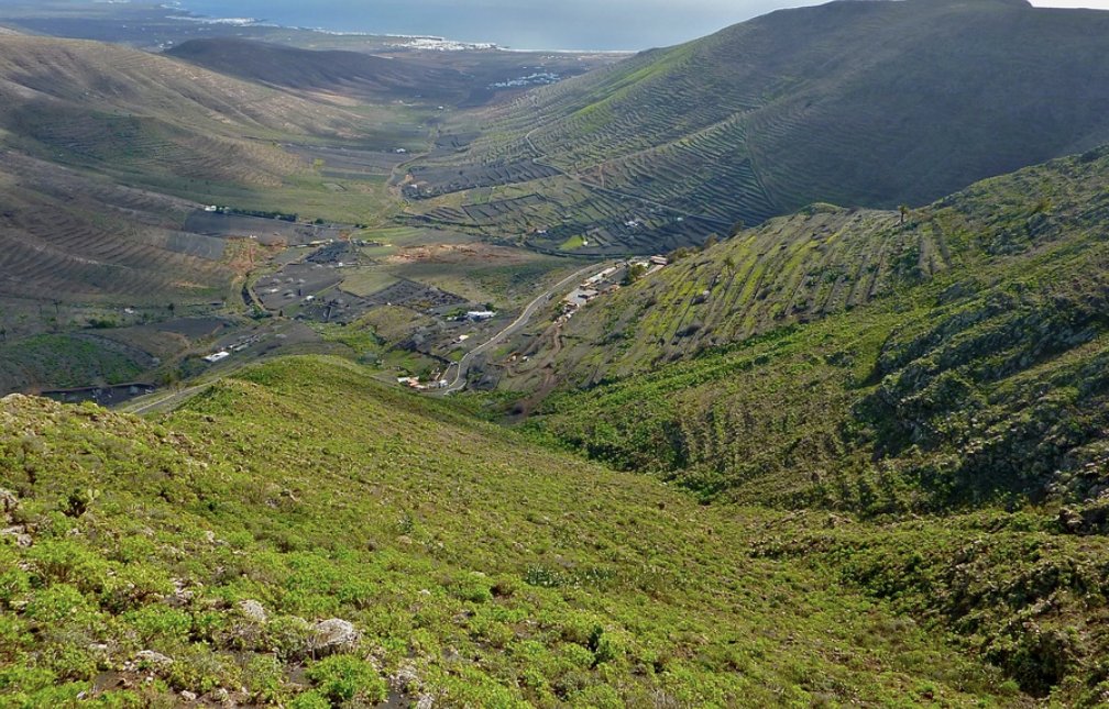 谷地是什么意思