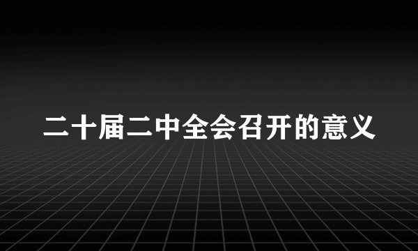 二十届二中全会召开的意义