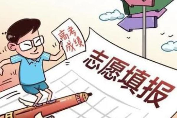 没到本科线可以报本科吗