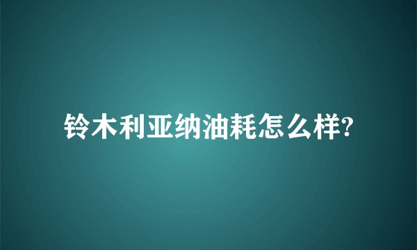 铃木利亚纳油耗怎么样?