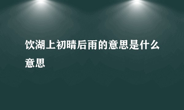 饮湖上初晴后雨的意思是什么意思