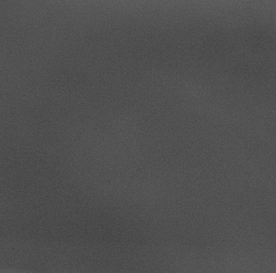 杀了她喂猪的歌词