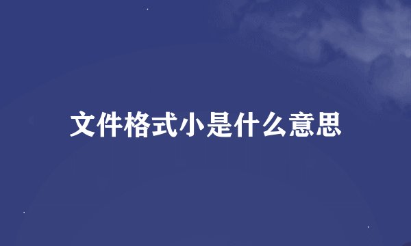 文件格式小是什么意思