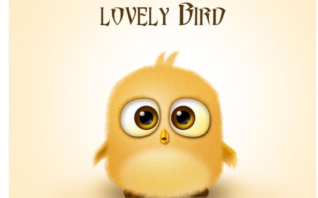 bird用中文怎么读
