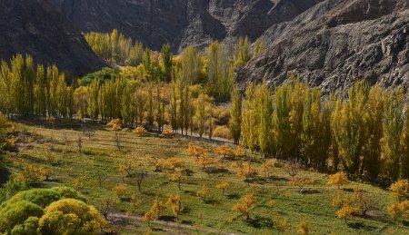 幽寂的拼音和意思