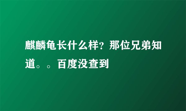 麒麟龟长什么样？那位兄弟知道。。百度没查到