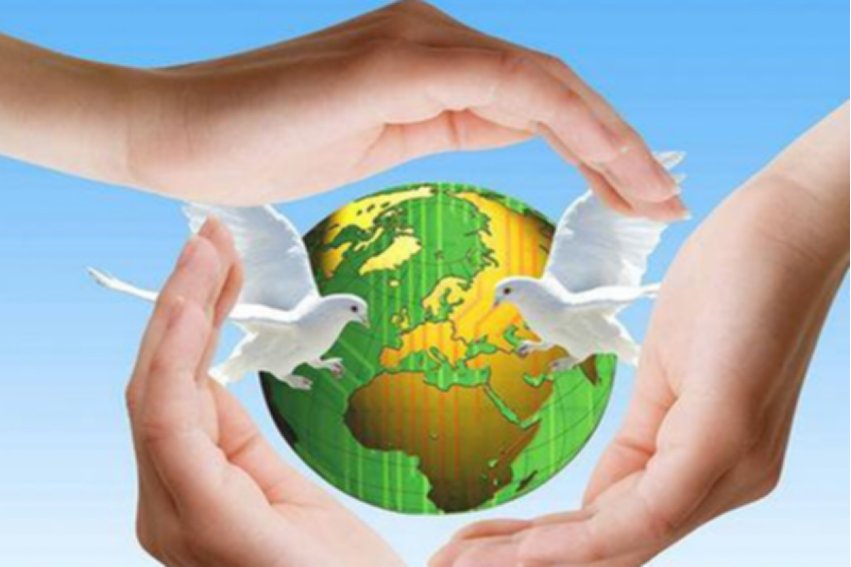 用不要不要不要只要造一个句子