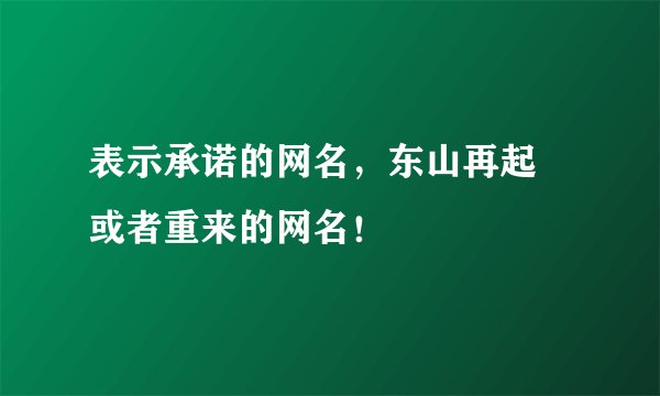 表示承诺的网名，东山再起 或者重来的网名！