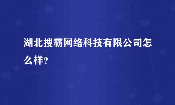 湖北搜霸网络科技有限公司怎么样？