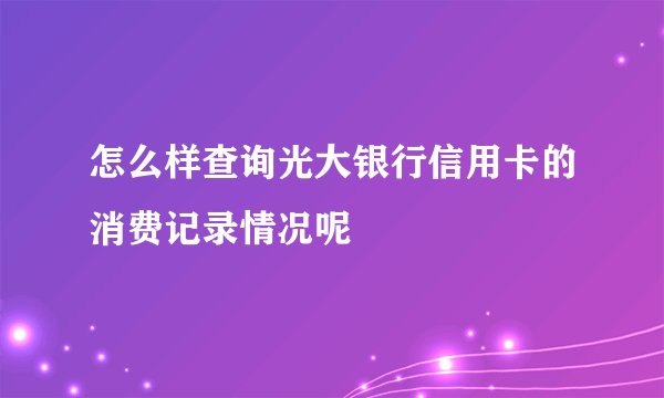 怎么样查询光大银行信用卡的消费记录情况呢