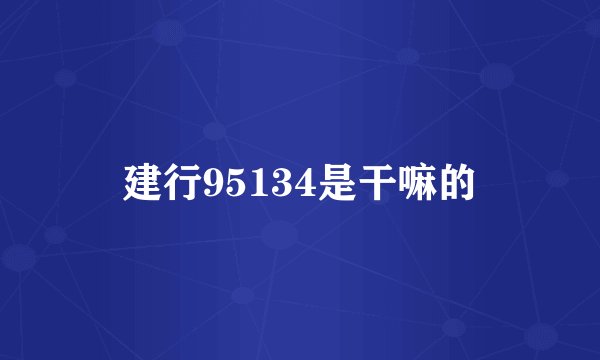 建行95134是干嘛的