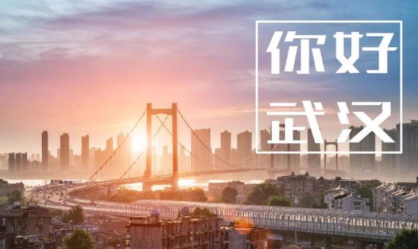 摘抄新闻小学生20条