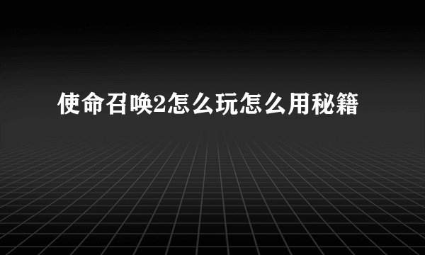 使命召唤2怎么玩怎么用秘籍