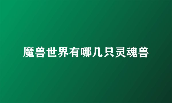 魔兽世界有哪几只灵魂兽