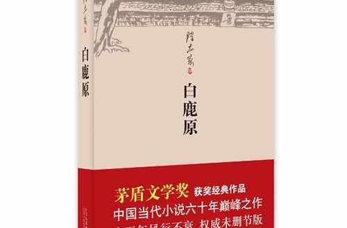 有什么好看的乡村题材的小说可以推荐？