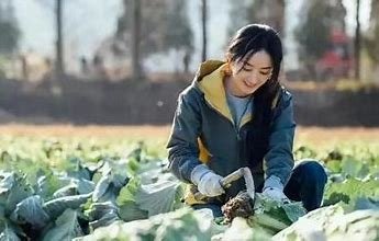 《幸福到万家》收官，赵丽颖晒照告别何幸福，从何幸福身上可以学到什么？