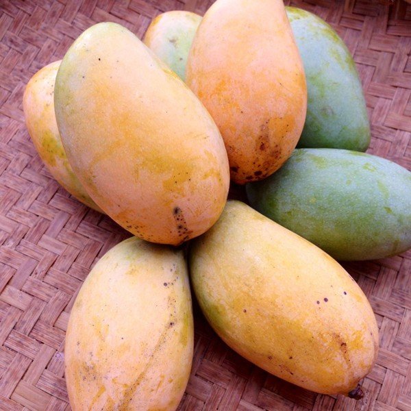 黄瓜和芒果可以一起吃吗???