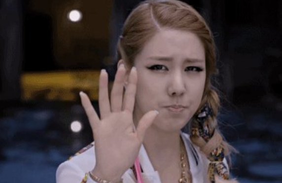 bushi 是什么意思