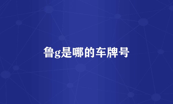 鲁g是哪的车牌号