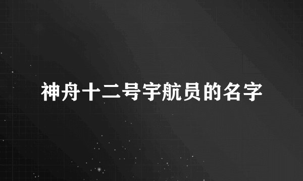 神舟十二号宇航员的名字