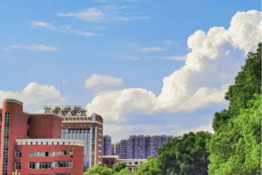 宜春学院教务处网址是什么？