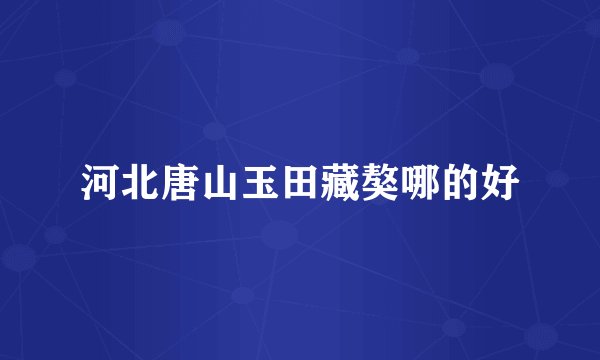 河北唐山玉田藏獒哪的好