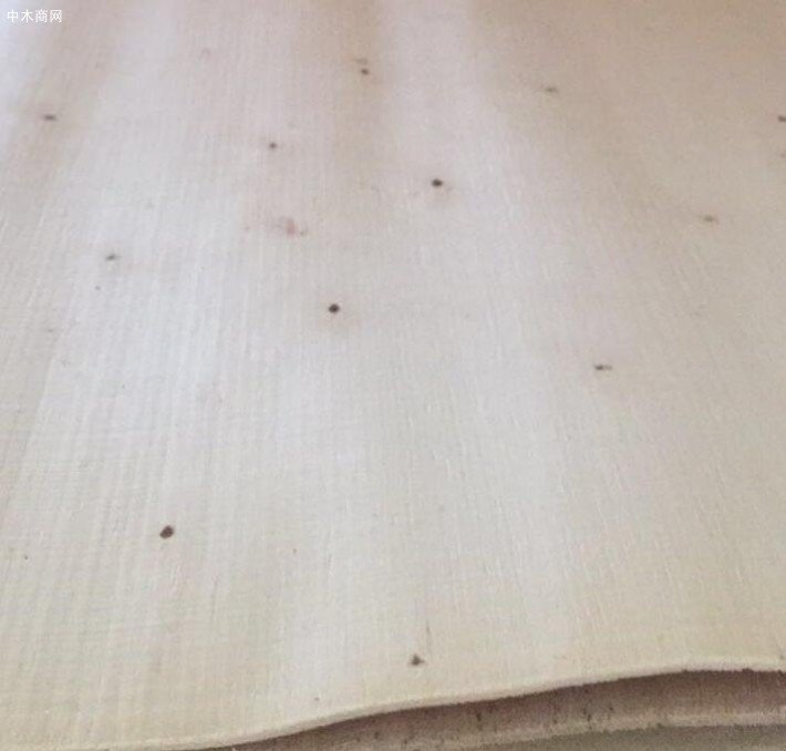 杨木木皮价格谁知道啊 进来看下！！