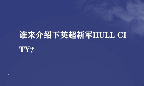 谁来介绍下英超新军HULL CITY？