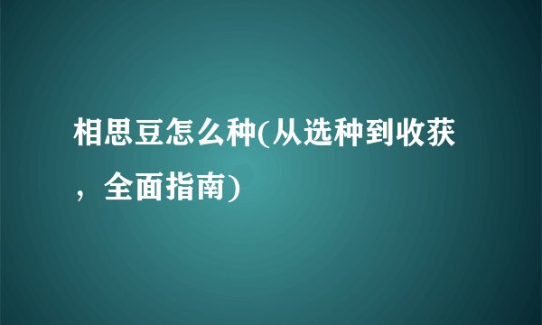 相思豆怎么种(从选种到收获，全面指南)