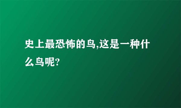 史上最恐怖的鸟,这是一种什么鸟呢?