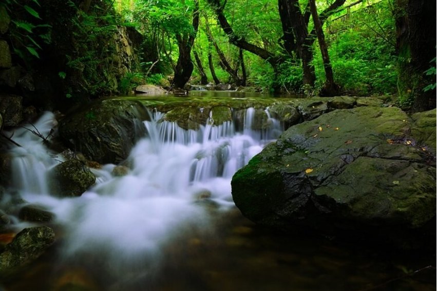 潺潺怎么读什么意思