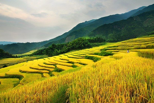 我国能耗最低的领域是什么?