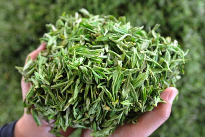 十大名茶的历史故事