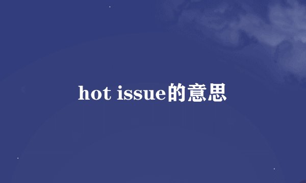 hot issue的意思